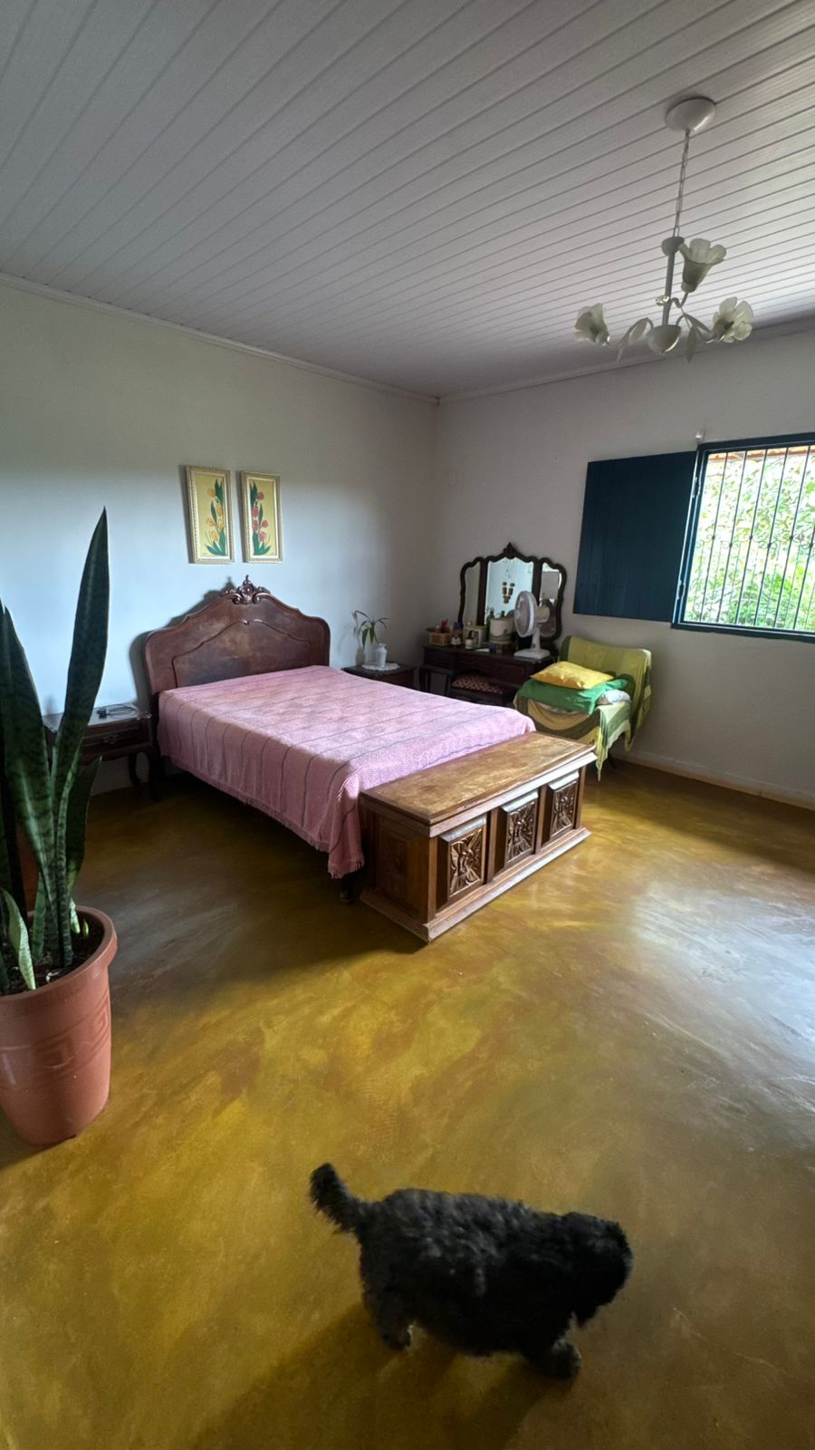 Apartamento - Foto 6